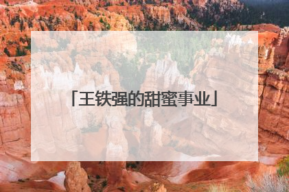 王铁强的甜蜜事业