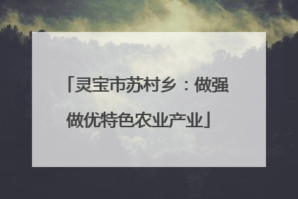 灵宝市苏村乡：做强做优特色农业产业