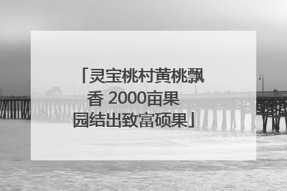 灵宝桃村黄桃飘香 2000亩果园结出致富硕果