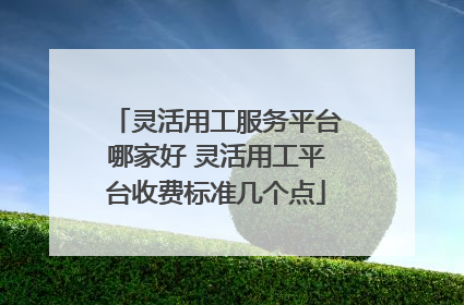 灵活用工服务平台哪家好 灵活用工平台收费标准几个点