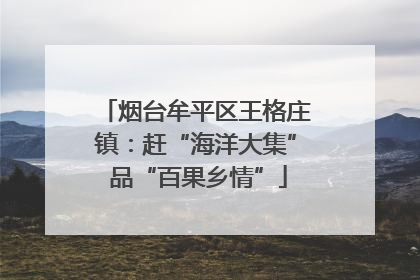 烟台牟平区王格庄镇：赶“海洋大集” 品“百果乡情”