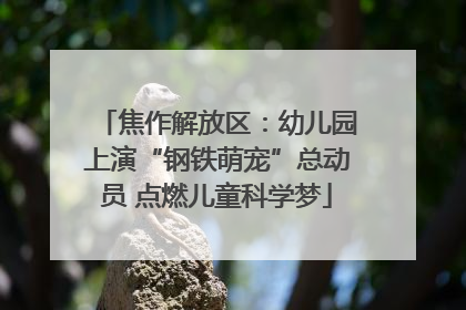 焦作解放区：幼儿园上演“钢铁萌宠”总动员 点燃儿童科学梦