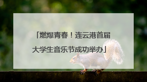 燃爆青春！连云港首届大学生音乐节成功举办