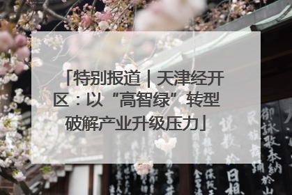 特别报道｜天津经开区：以“高智绿”转型破解产业升级压力