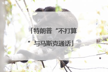 特朗普“不打算”与马斯克通话