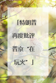 特朗普再度批评普京“在玩火”