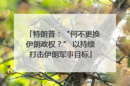 特朗普：“何不更换伊朗政权？” 以持续打击伊朗军事目标