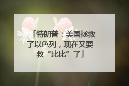 特朗普：美国拯救了以色列，现在又要救“比比”了