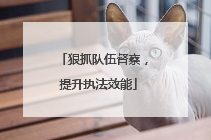 狠抓队伍督察，提升执法效能