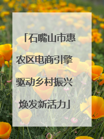 石嘴山市惠农区电商引擎驱动乡村振兴焕发新活力