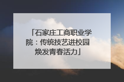 石家庄工商职业学院：传统技艺进校园焕发青春活力