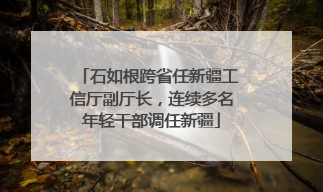 石如根跨省任新疆工信厅副厅长，连续多名年轻干部调任新疆