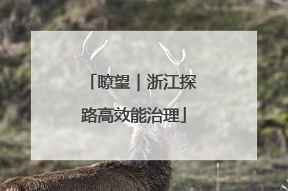 瞭望｜浙江探路高效能治理