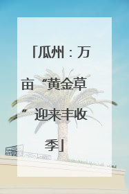 瓜州：万亩“黄金草”迎来丰收季