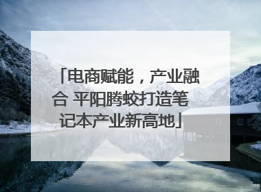 电商赋能，产业融合 平阳腾蛟打造笔记本产业新高地