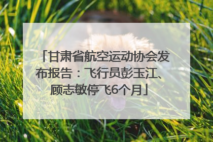 甘肃省航空运动协会发布报告：飞行员彭玉江、顾志敏停飞6个月