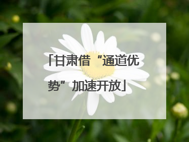 甘肃借“通道优势”加速开放