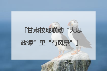 甘肃校地联动“大思政课”里“有风景”