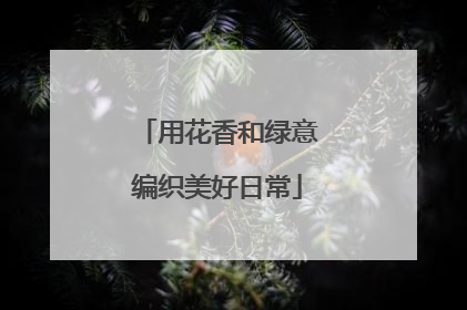 用花香和绿意编织美好日常