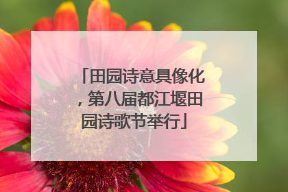 田园诗意具像化，第八届都江堰田园诗歌节举行