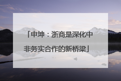 申坤：浙商是深化中非务实合作的新桥梁