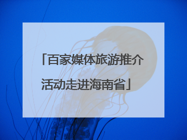 百家媒体旅游推介活动走进海南省