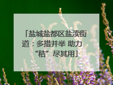 盐城盐都区盐渎街道：多措并举 助力“秸”尽其用