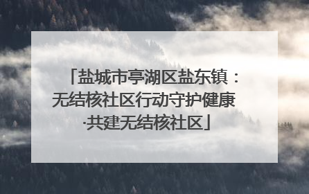 盐城市亭湖区盐东镇：无结核社区行动守护健康 ·共建无结核社区