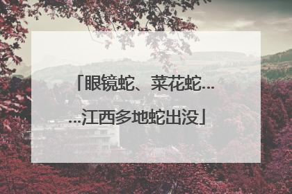 眼镜蛇、菜花蛇……江西多地蛇出没