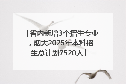省内新增3个招生专业，烟大2025年本科招生总计划7520人