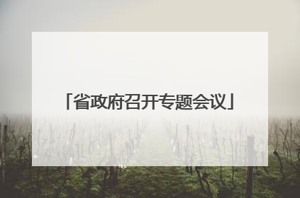 省政府召开专题会议