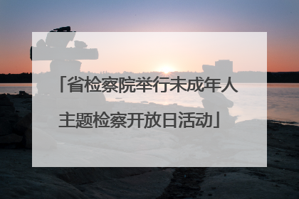 省检察院举行未成年人主题检察开放日活动