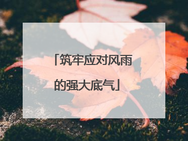 筑牢应对风雨的强大底气