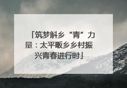 筑梦斛乡“青”力量：太平畈乡乡村振兴青春进行时