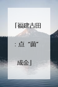 福建古田：点“菌”成金