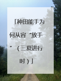 种田能手为何从容“放手”（三夏进行时）