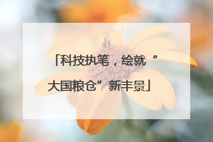 科技执笔，绘就“大国粮仓”新丰景