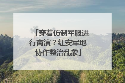 穿着仿制军服进行商演？红安军地协作整治乱象