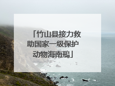 竹山县接力救助国家一级保护动物海南鳽