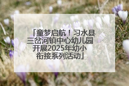 童梦启航！习水县三岔河镇中心幼儿园开展2025年幼小衔接系列活动
