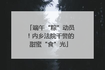 端午“粽”动员！内乡法院干警的甜蜜“食”光