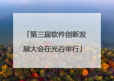 第三届软件创新发展大会在光谷举行