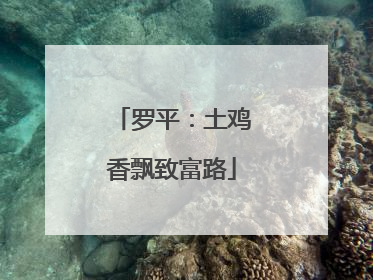 罗平：土鸡香飘致富路