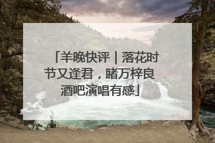 羊晚快评｜落花时节又逢君，睹万梓良酒吧演唱有感