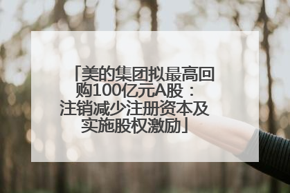 美的集团拟最高回购100亿元A股：注销减少注册资本及实施股权激励