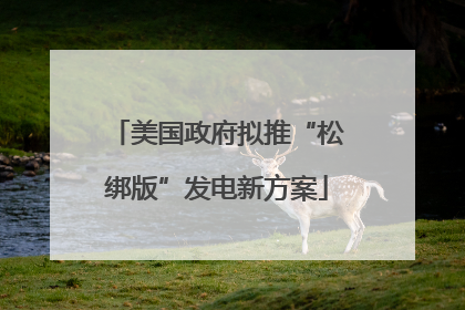 美国政府拟推“松绑版”发电新方案