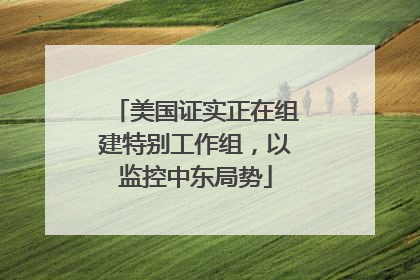 美国证实正在组建特别工作组，以监控中东局势