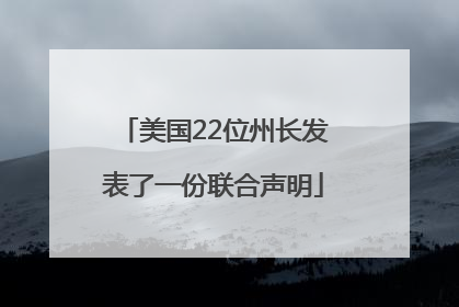 美国22位州长发表了一份联合声明