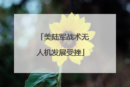 美陆军战术无人机发展受挫