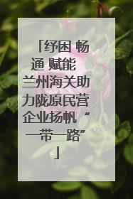 纾困 畅通 赋能 兰州海关助力陇原民营企业扬帆“一带一路”